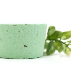 Bomba de ducha hojas de eucalipto