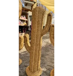 Cactus de esparto mediano