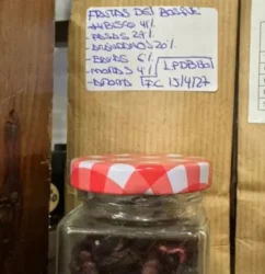 Infusión Frutas del Bosque
